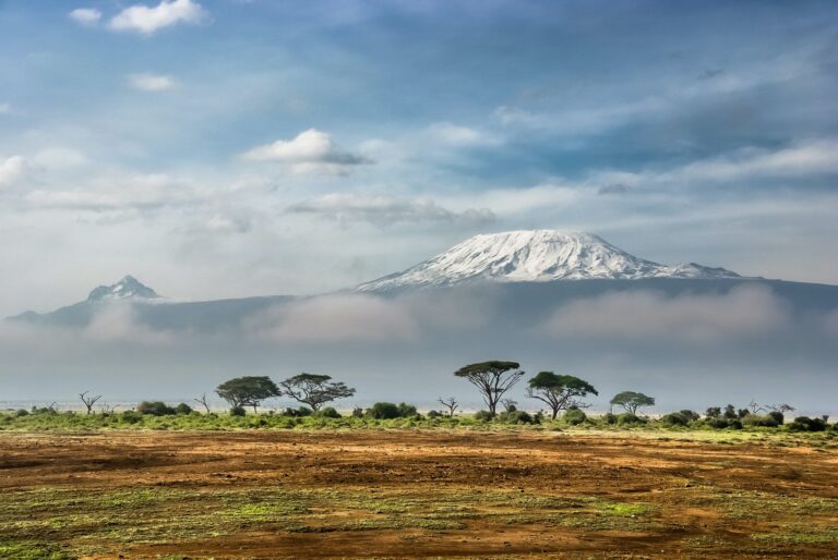 Beklim de Kilimanjaro! cover